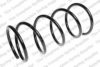 LESJ?FORS 4035754 Coil Spring